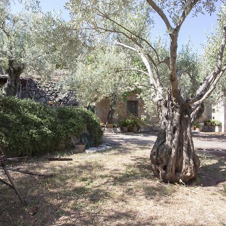 Villa Es Coco, Soller ปอร์ต เด โซลแยร์ ภายนอก รูปภาพ