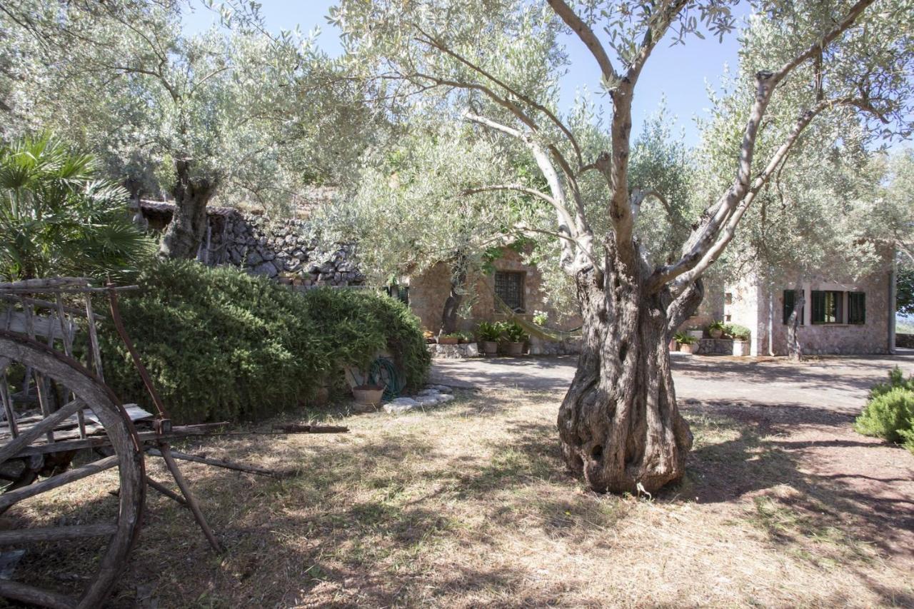 Villa Es Coco, Soller ปอร์ต เด โซลแยร์ ภายนอก รูปภาพ