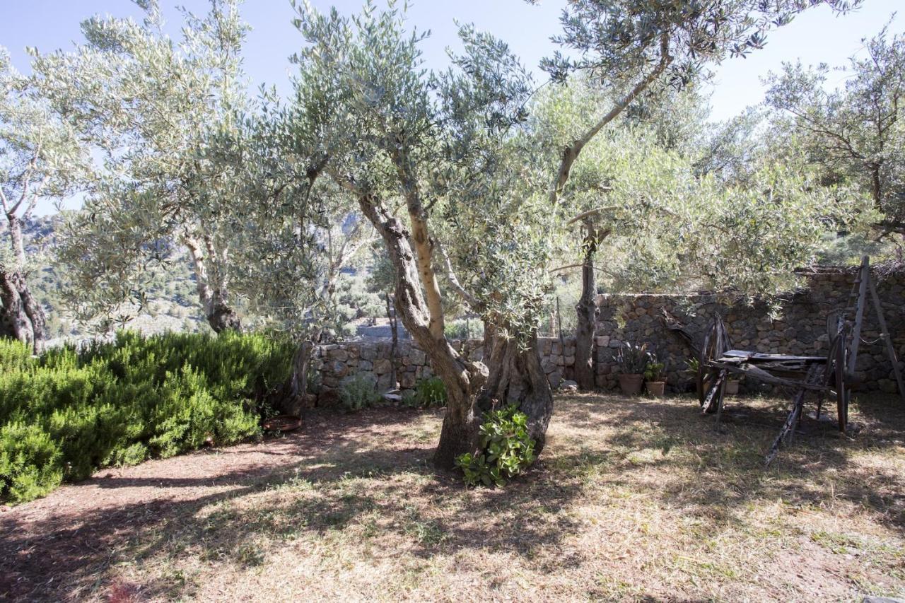 Villa Es Coco, Soller ปอร์ต เด โซลแยร์ ภายนอก รูปภาพ