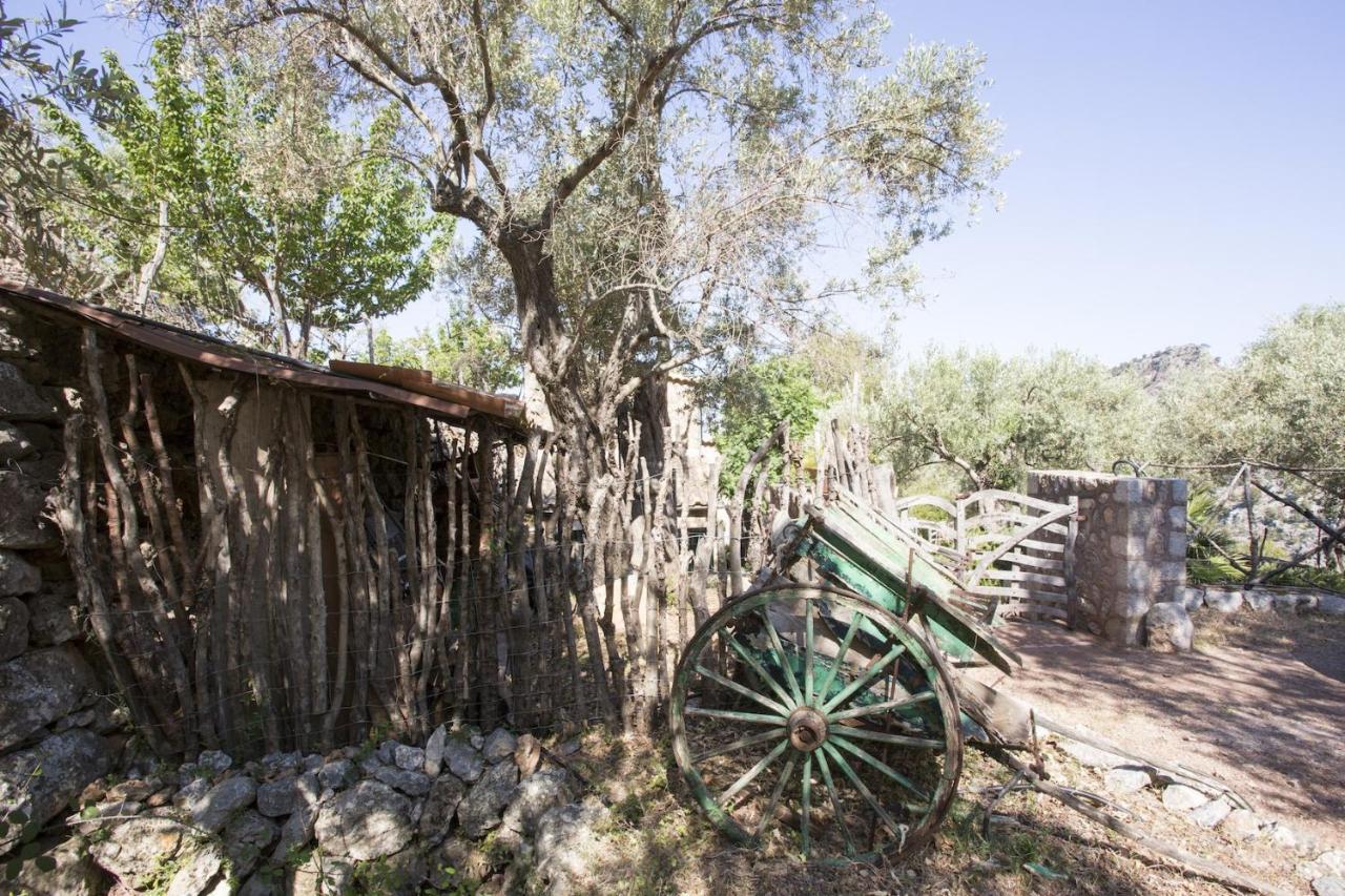 Villa Es Coco, Soller ปอร์ต เด โซลแยร์ ภายนอก รูปภาพ
