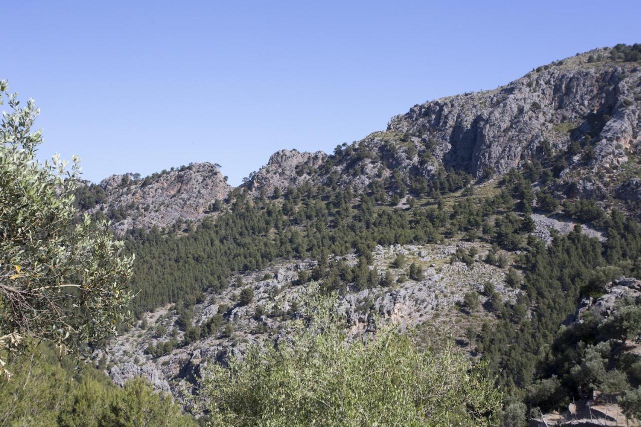 Villa Es Coco, Soller ปอร์ต เด โซลแยร์ ภายนอก รูปภาพ